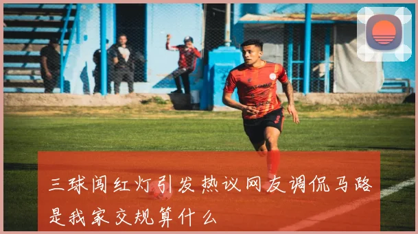 三球闯红灯引发热议网友调侃马路是我家交规算什么