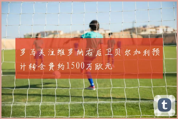 罗马关注维罗纳右后卫贝尔加利预计转会费约1500万欧元