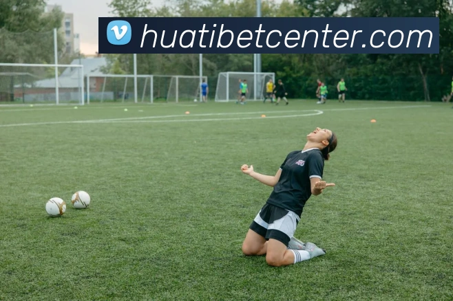 华体会体育平台生态图